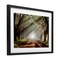 Stupell Industries Sunlit Evergreen Grove Framed Print Under Glass, design by Mike Jones